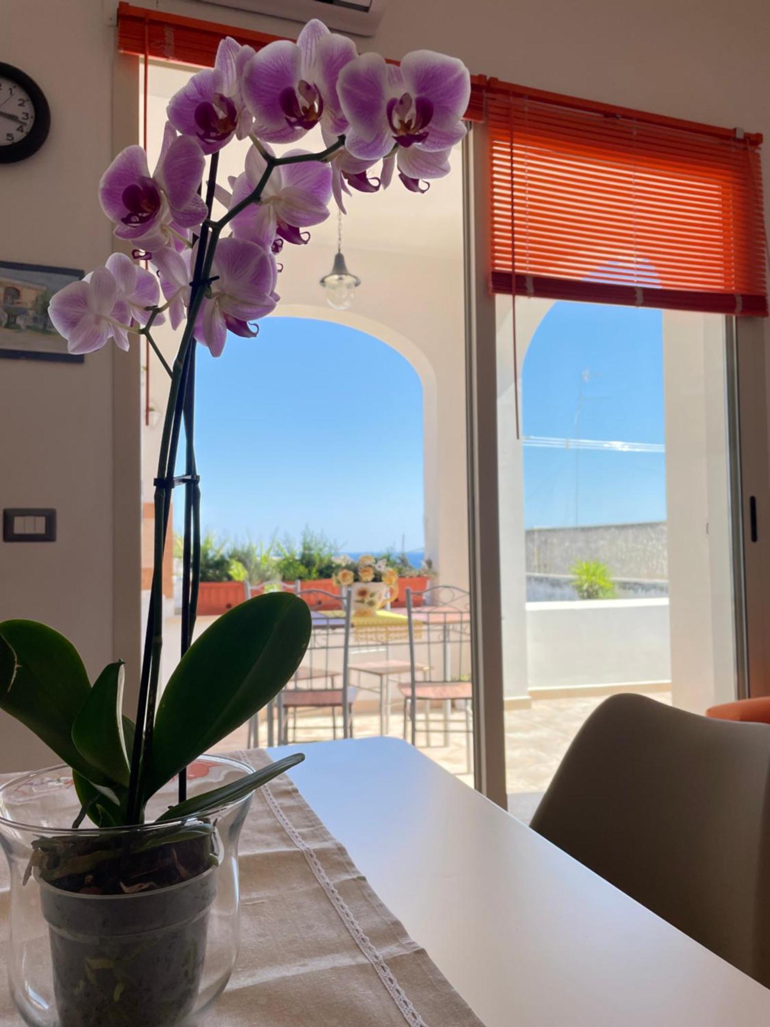 Apartamento La Casa Di Lina